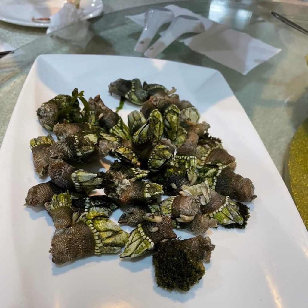 佛手-一種馬祖海產