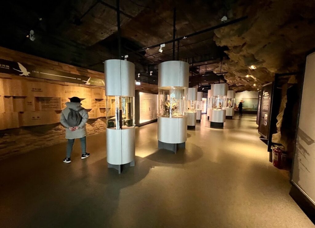 戰爭和平紀念公園