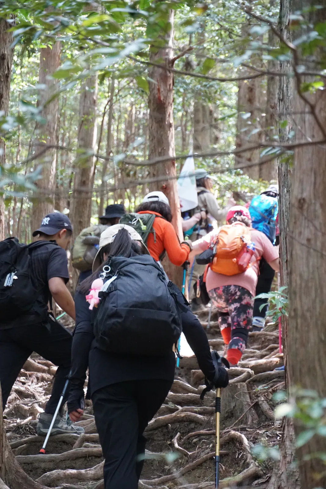 熊野古道中邊路第二第三天森林上坡與石板階梯路段