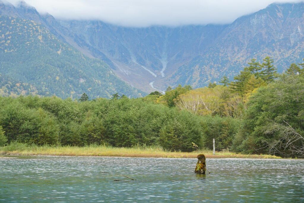 上高地 大正池
