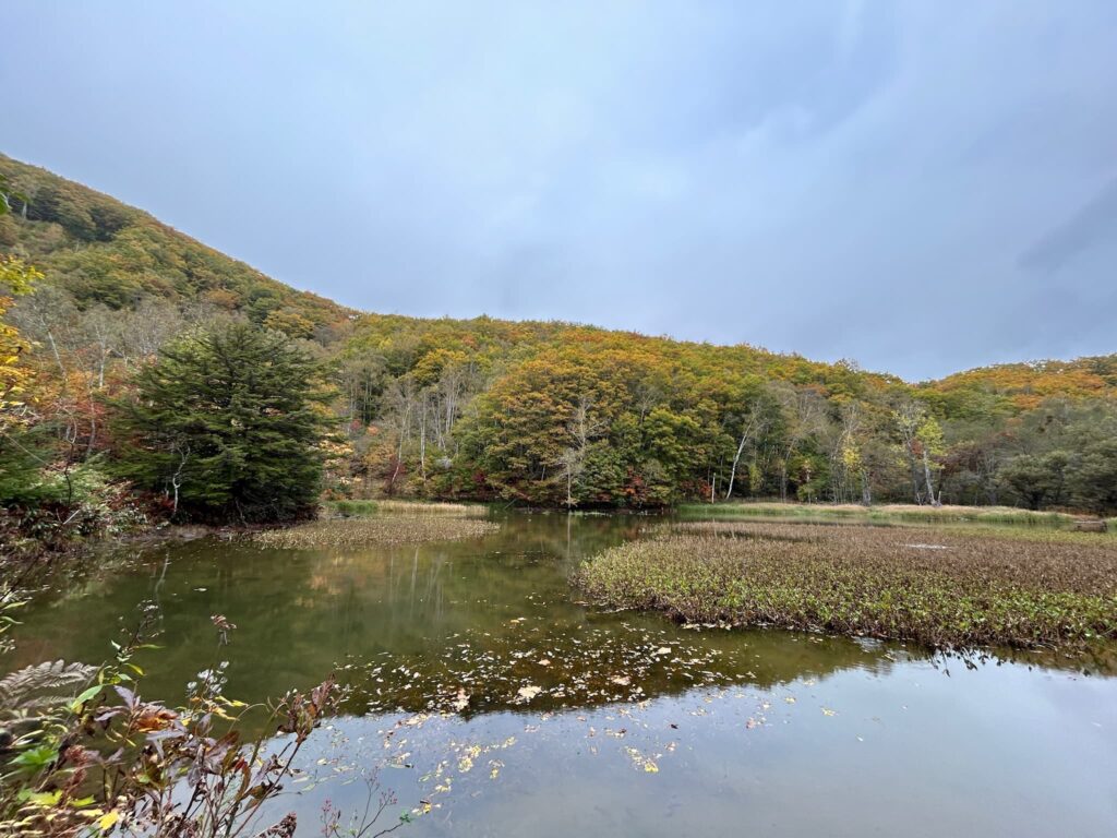 上高地 明神池