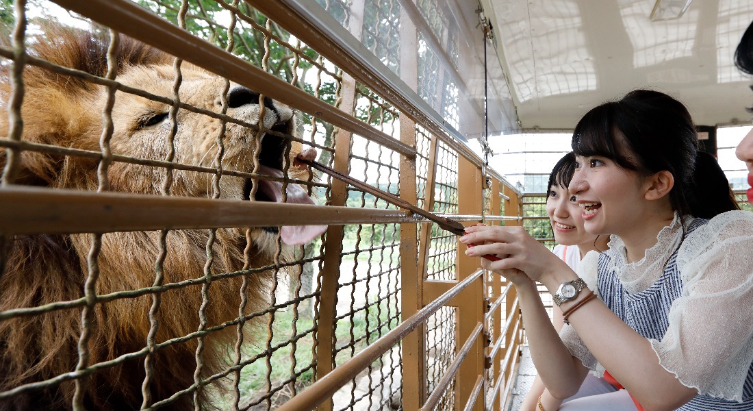福岡親子遊+包車攻略|6天5夜懶人包・帶長輩幼兒輕鬆玩!