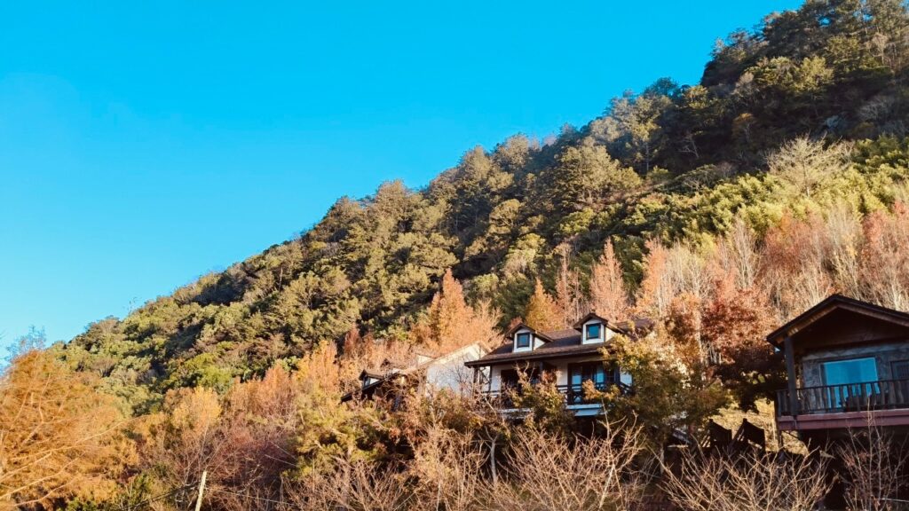 司馬庫斯小木屋