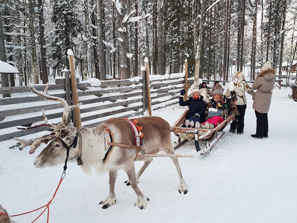 馴鹿雪橇 (Reindeer Sleigh)