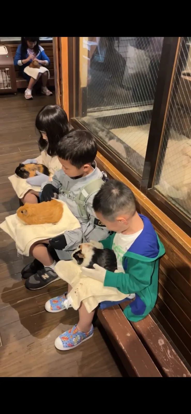 九州自然動物園親子動物互動