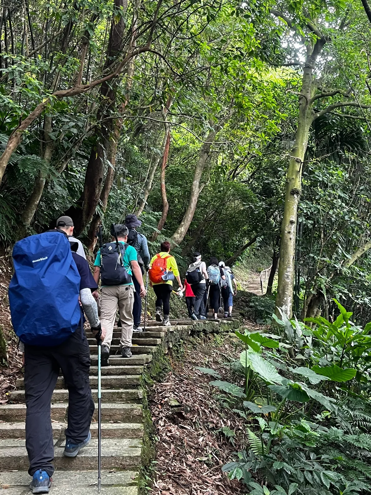 富士山登山前團員進行健行與體能訓練