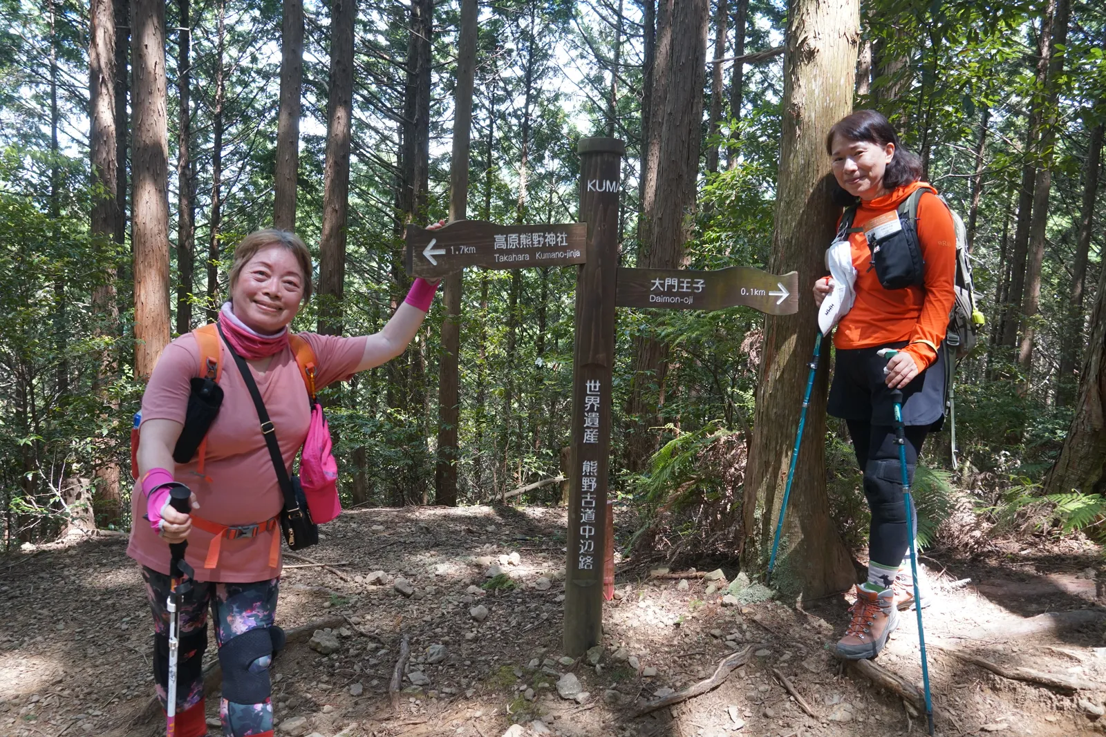 熊野古道中邊路森林中的岔路與登山路標