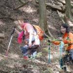 健行者背著日用背包，使用登山杖走林間山路