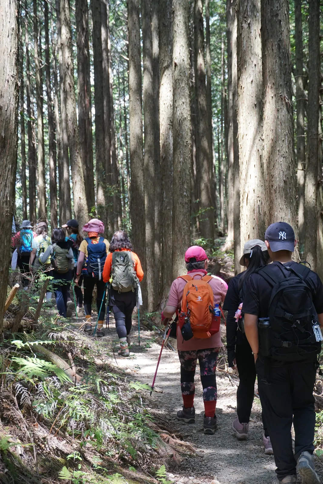 熊野古道小團中文嚮導健行速度安排