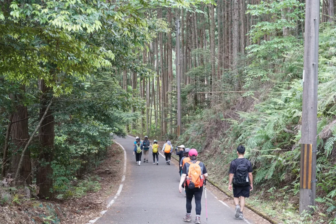 熊野古道要走幾天？1天、3天、5天、7天怎麼選，第一次去看這篇