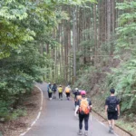 旅人在發心門王子往熊野本宮大社的林間道路健行