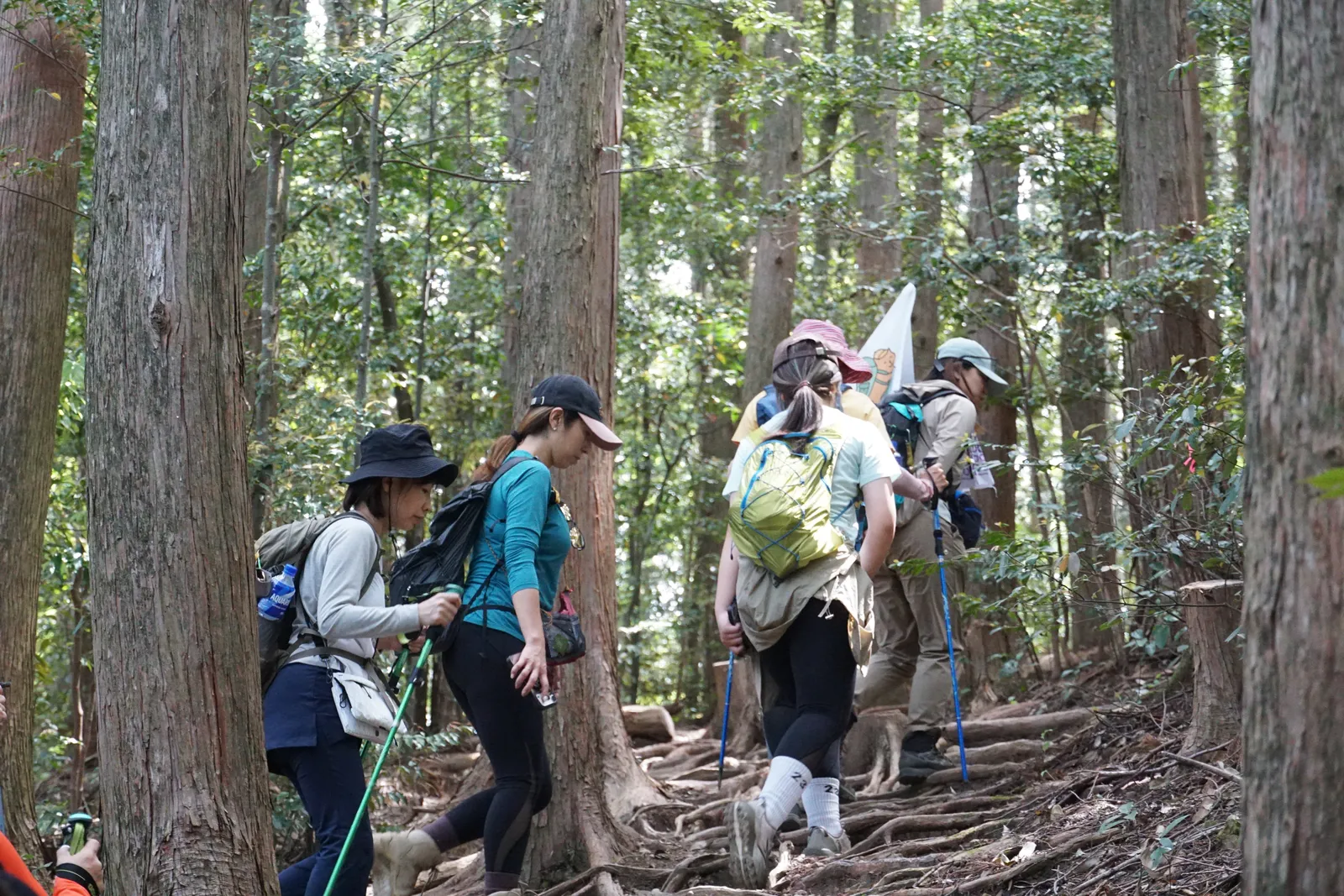 熊野古道第二天第三天上下坡健行路段