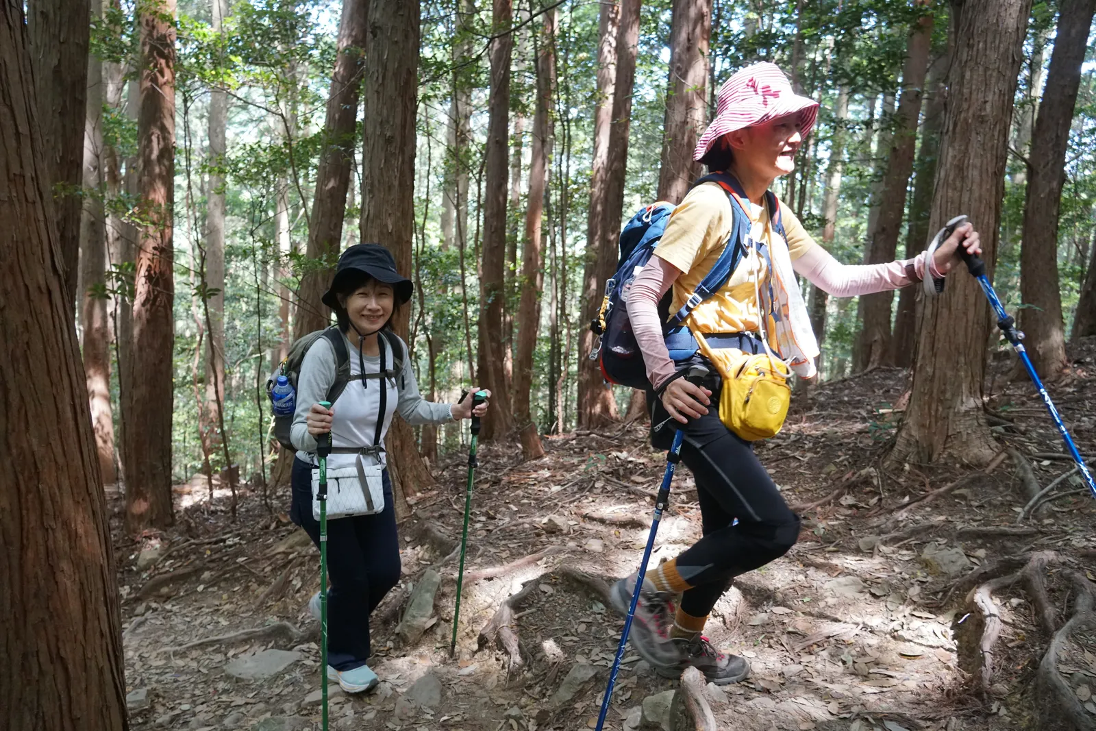 長輩使用雙登山杖走熊野古道