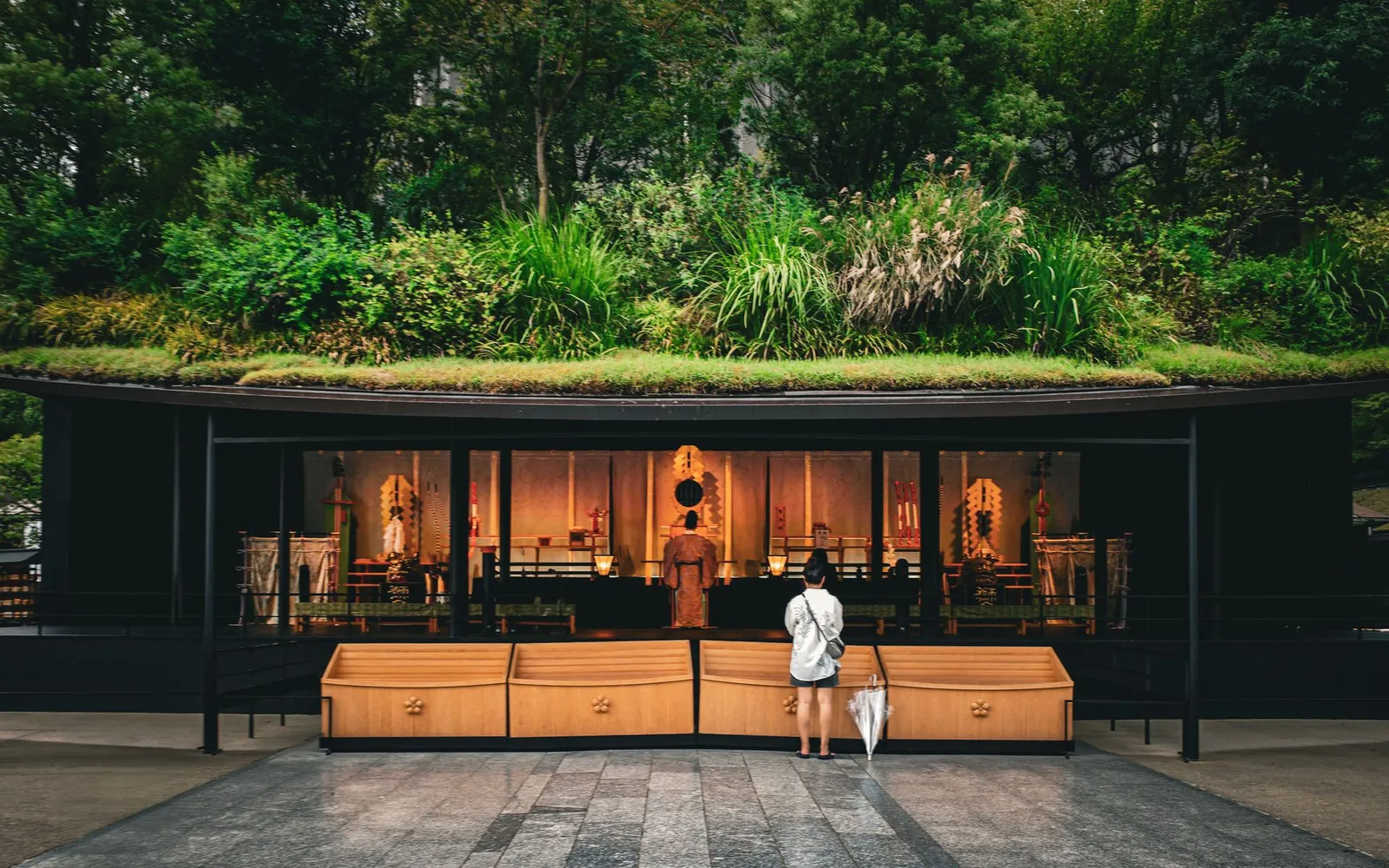 綠意環繞的神社建築與參拜旅人