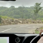 由駕駛座看向野生動物園車道與山坡動物