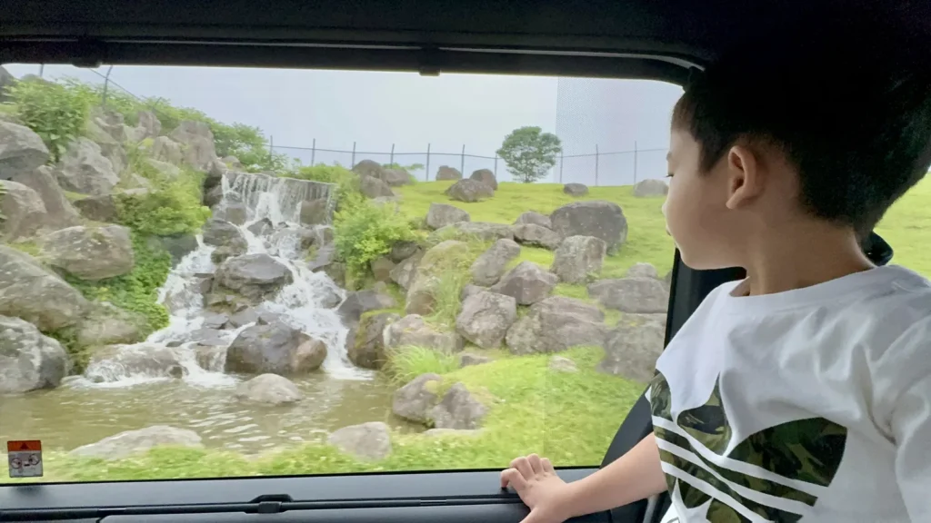 孩子靠著車窗看向動物園景色