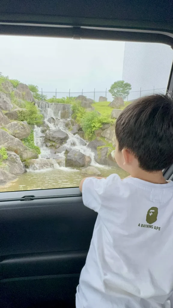 孩子透過車窗觀看窗外瀑布